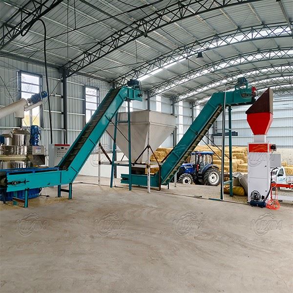 Indonesia Biomass Pellet Production Line | Tropical Climate-Resilient Design For Palm Shell, Coconut Shell & Rice Husk suppliers