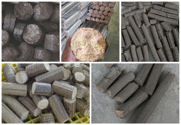 0019DSC09119conew1 0019DSC09119conew1